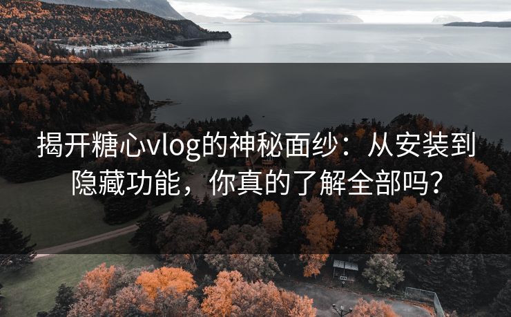 揭开糖心vlog的神秘面纱：从安装到隐藏功能，你真的了解全部吗？