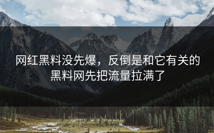 网红黑料没先爆，反倒是和它有关的黑料网先把流量拉满了
