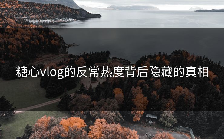 糖心vlog的反常热度背后隐藏的真相