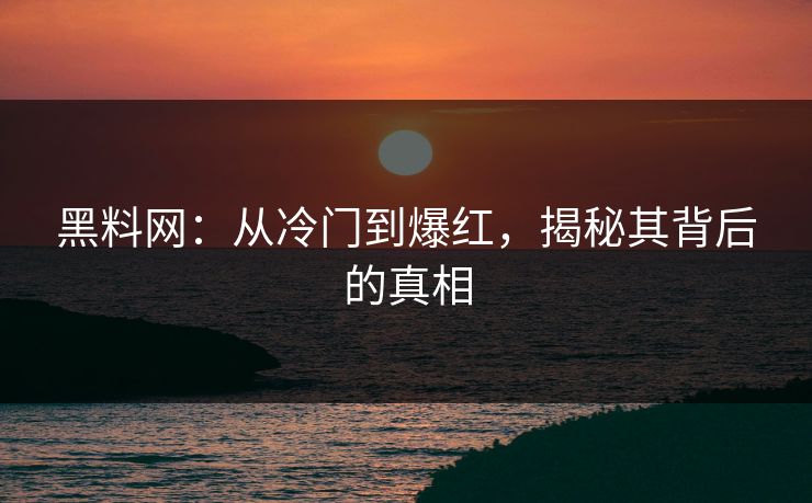 黑料网：从冷门到爆红，揭秘其背后的真相