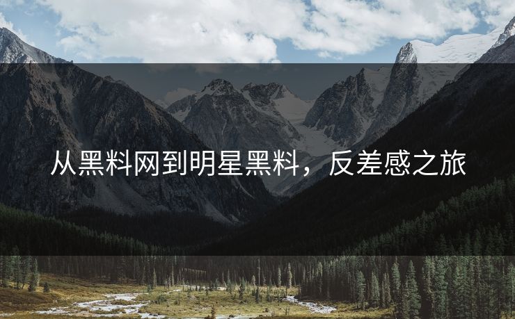 从黑料网到明星黑料，反差感之旅