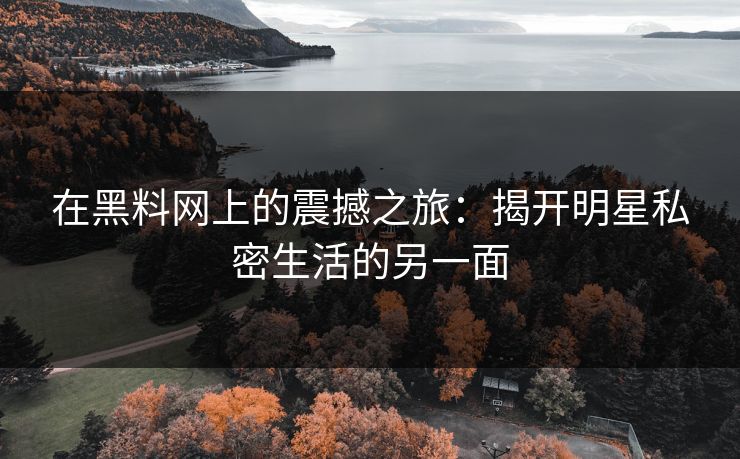 在黑料网上的震撼之旅：揭开明星私密生活的另一面