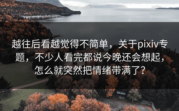 越往后看越觉得不简单，关于pixiv专题，不少人看完都说今晚还会想起，怎么就突然把情绪带满了？